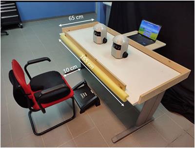 A novel socially assistive robotic platform for cognitive-motor exercises for individuals with Parkinson's Disease: a participatory-design study from conception to feasibility testing with end users